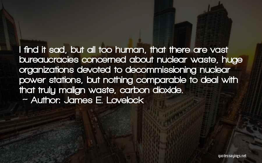 James E. Lovelock Quotes 327994