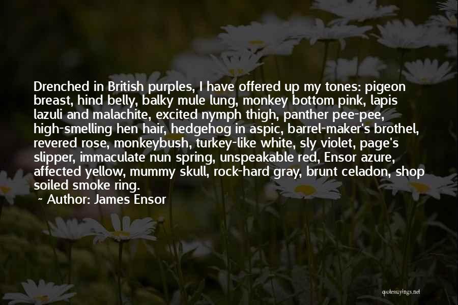 James Ensor Quotes 493904