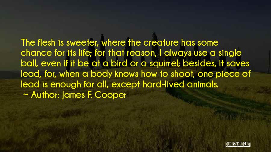 James F. Cooper Quotes 1993122