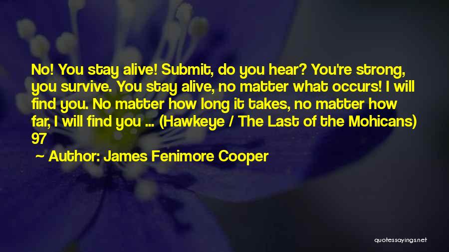 James Fenimore Cooper Quotes 1014053