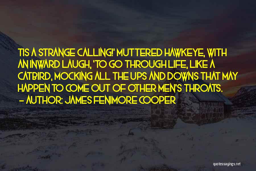 James Fenimore Cooper Quotes 1261245