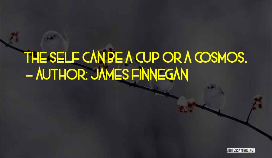 James Finnegan Quotes 522867