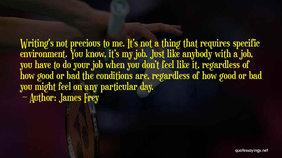 James Frey Quotes 1810677