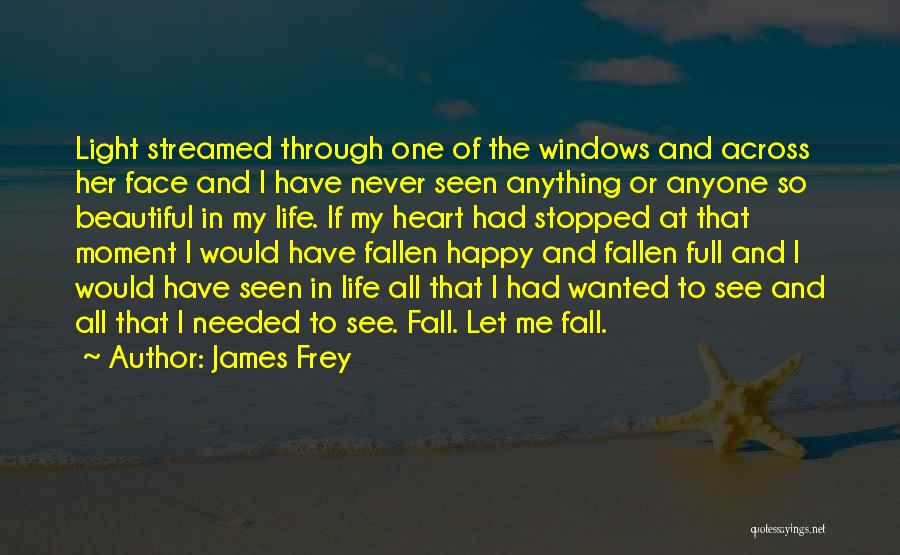 James Frey Quotes 2162719