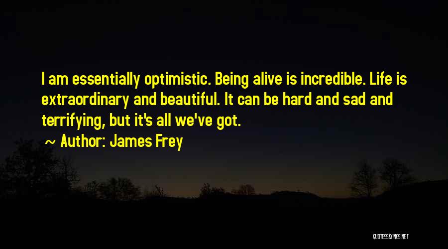 James Frey Quotes 2216319