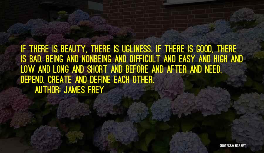 James Frey Quotes 2237679