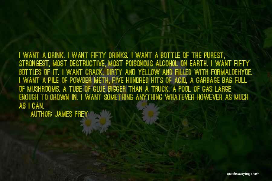 James Frey Quotes 341161