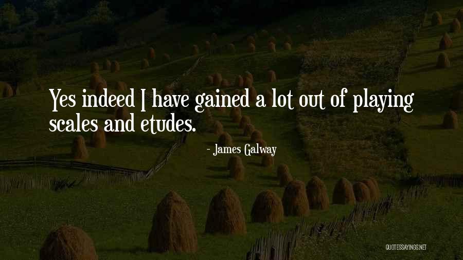 James Galway Quotes 915648 James Galway Quotes 915648