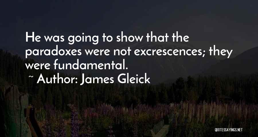 James Gleick Quotes 1495276