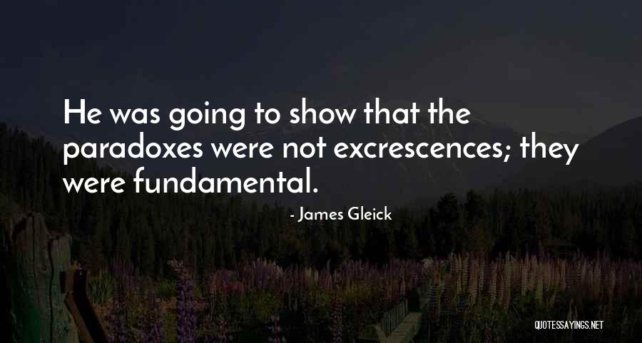 James Gleick Quotes 1495276