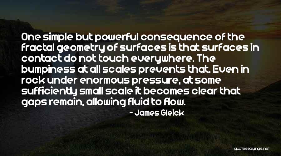 James Gleick Quotes 1722020