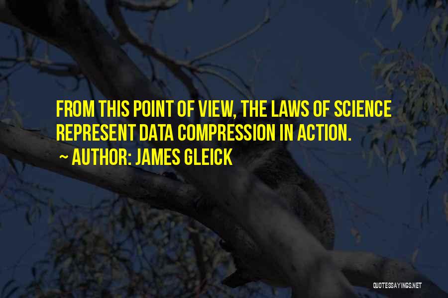 James Gleick Quotes 1904623