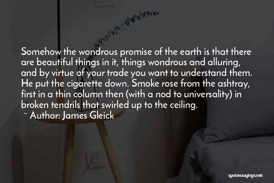 James Gleick Quotes 1955160