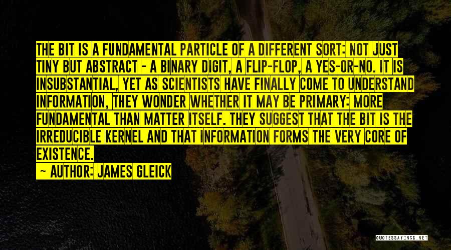 James Gleick Quotes 1974039