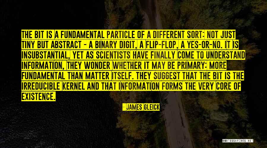 James Gleick Quotes 1974039