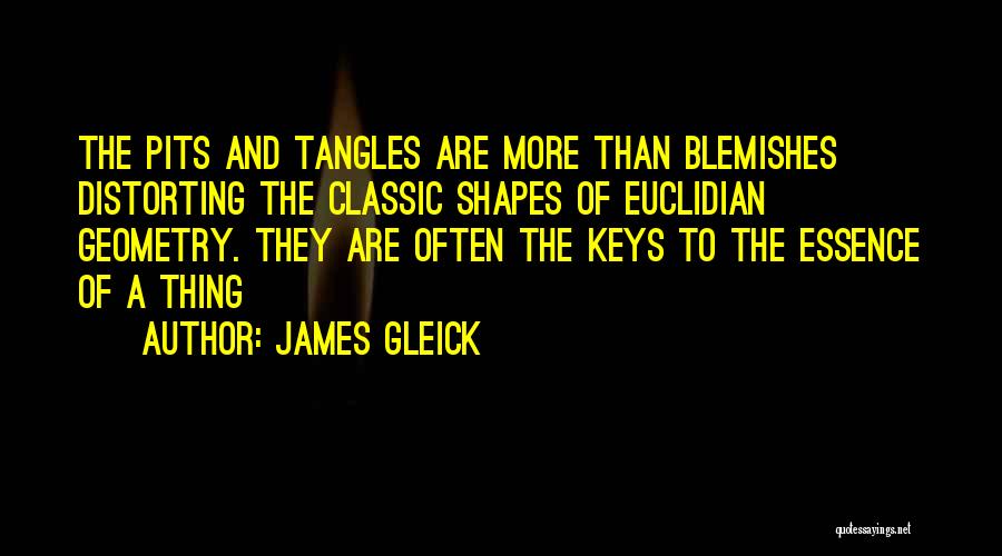James Gleick Quotes 2154009