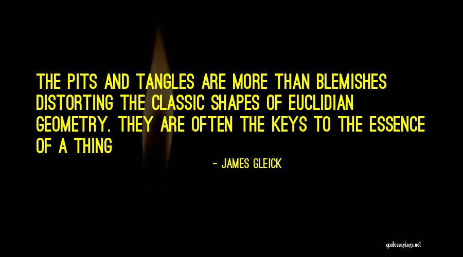 James Gleick Quotes 2154009