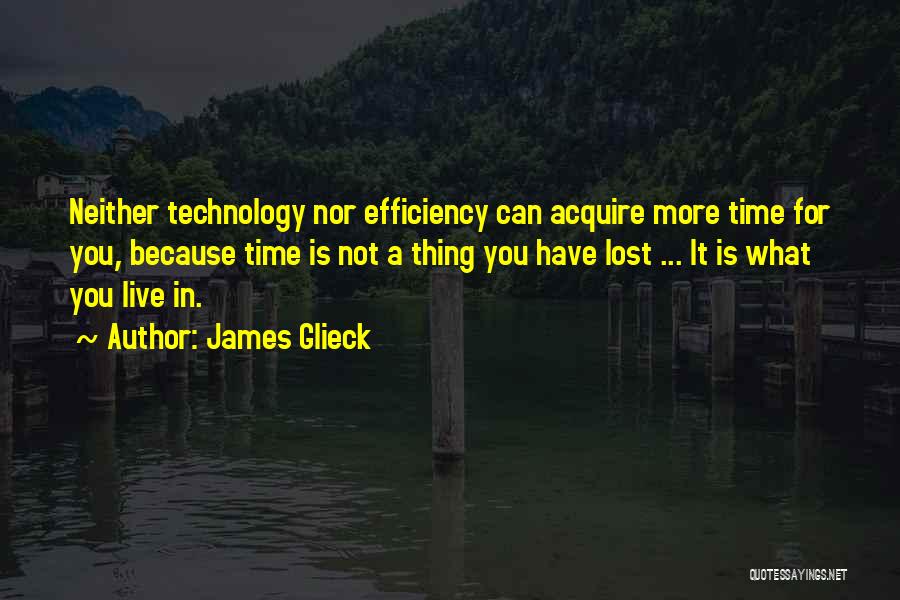 James Glieck Quotes 74838