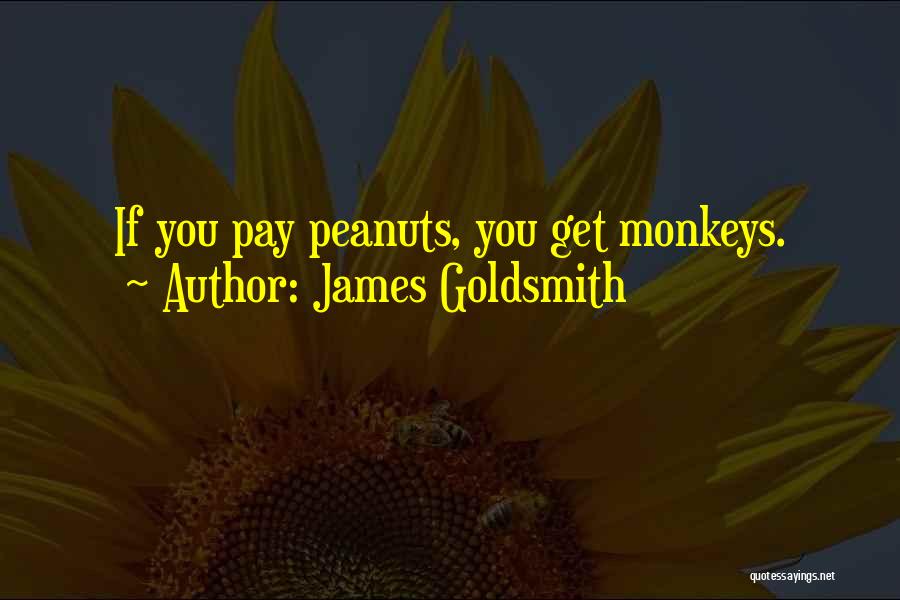 James Goldsmith Quotes 127443