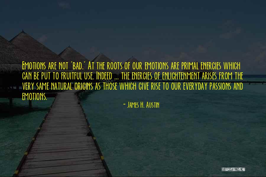James H. Austin Quotes 1270292 James H. Austin Quotes 1270292