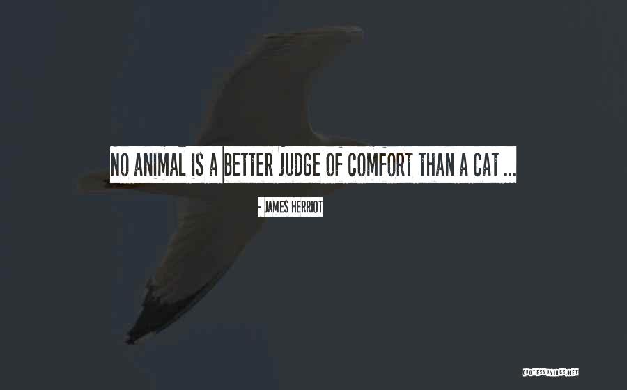 James Herriot Quotes 1268045