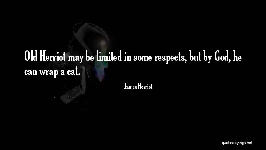 James Herriot Quotes 460183