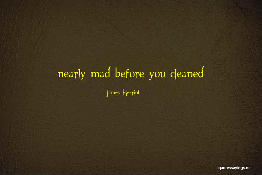 James Herriot Quotes 899184