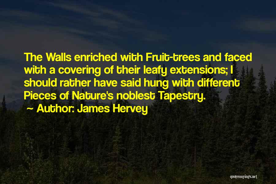 James Hervey Quotes 1423574