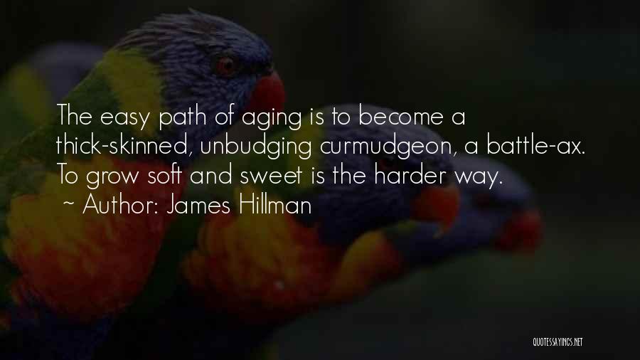 James Hillman Quotes 150680