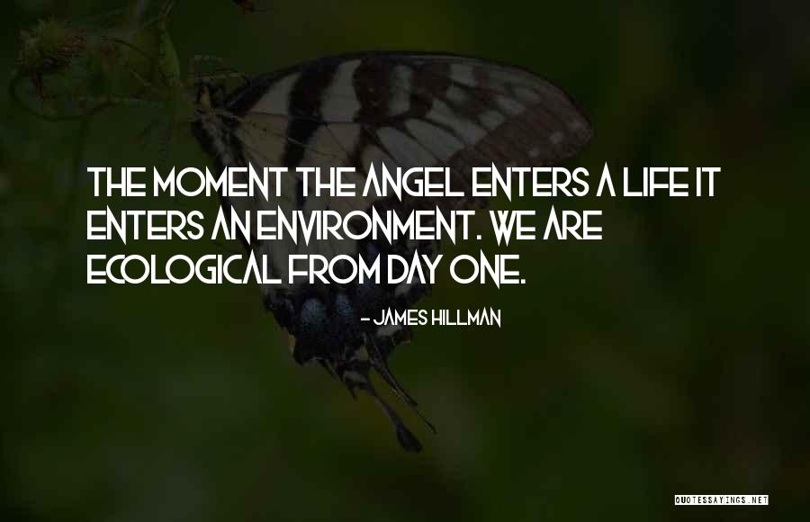 James Hillman Quotes 1524942 James Hillman Quotes 1524942