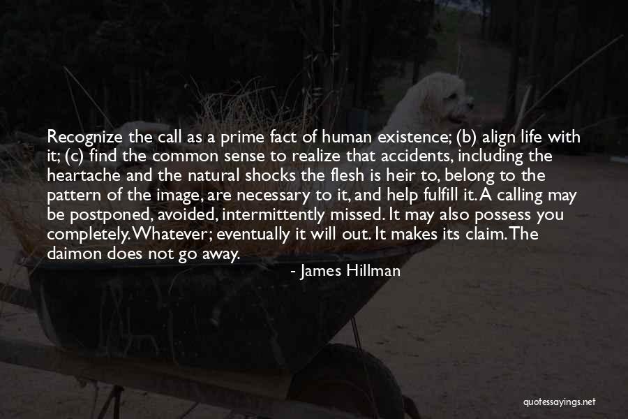 James Hillman Quotes 1530968