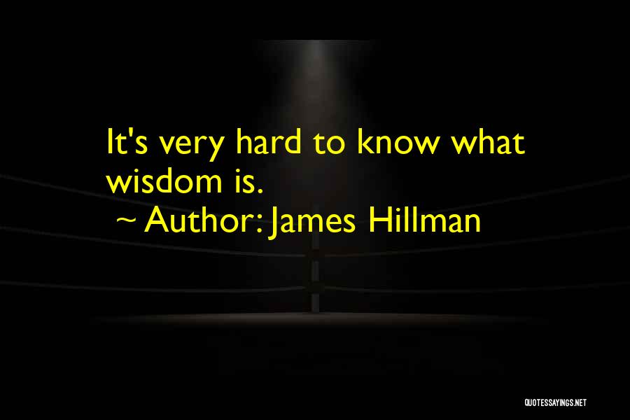 James Hillman Quotes 1610283