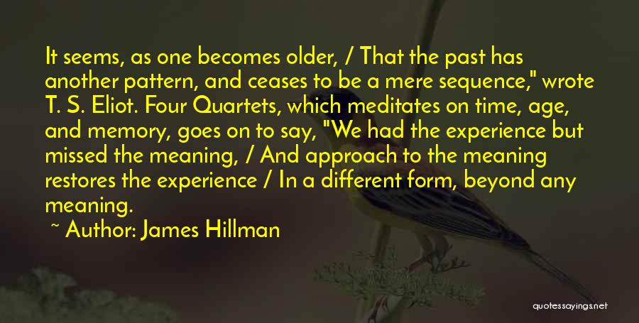 James Hillman Quotes 167473