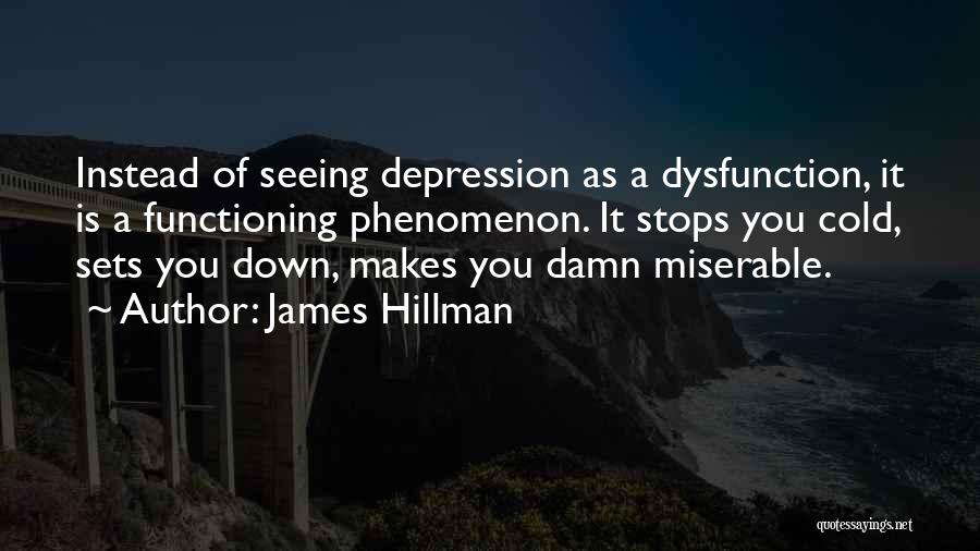 James Hillman Quotes 2065406