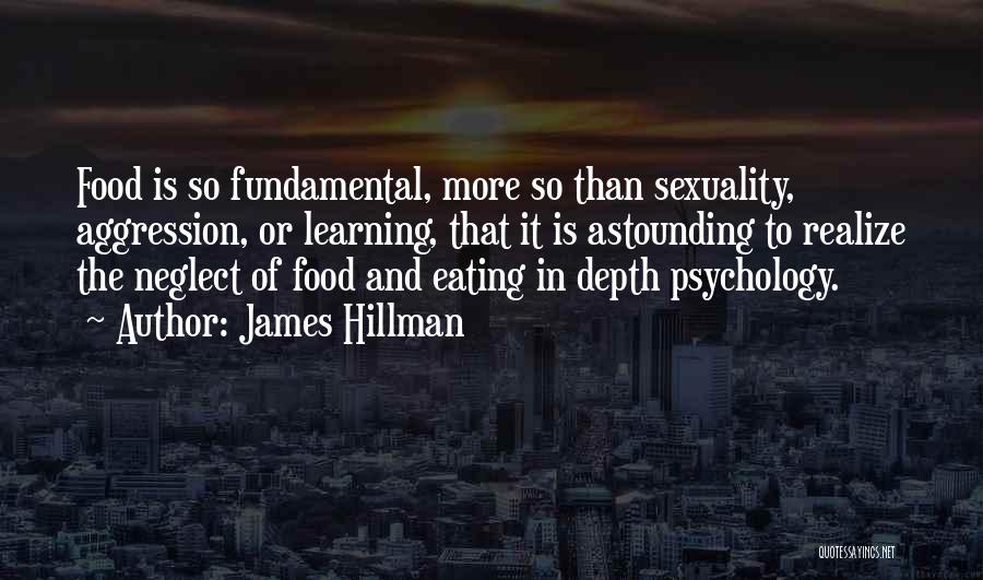 James Hillman Quotes 354274