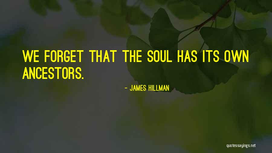 James Hillman Quotes 359207