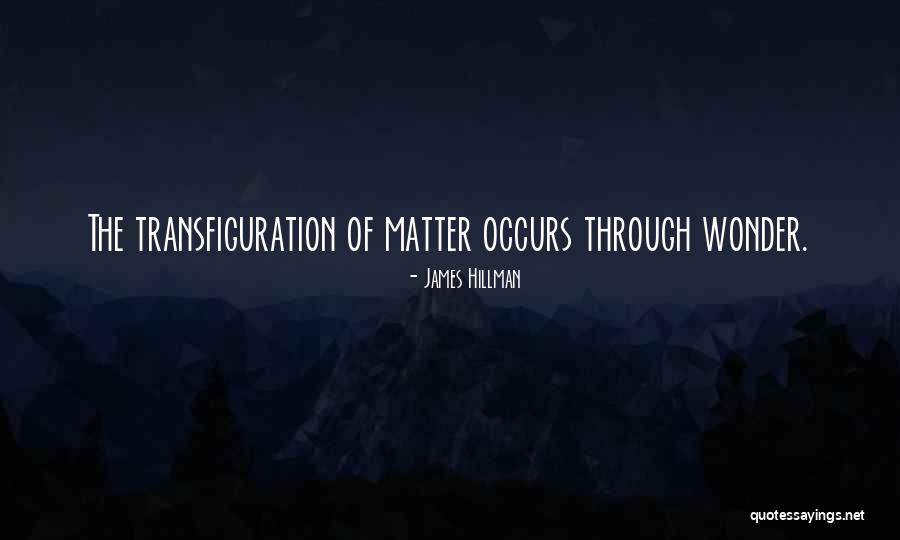 James Hillman Quotes 589688 James Hillman Quotes 589688