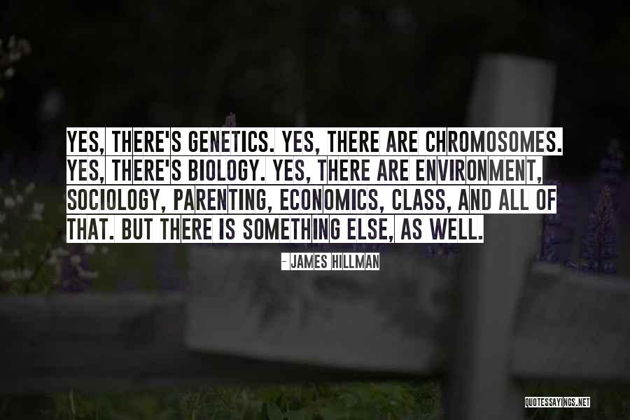 James Hillman Quotes 836964 James Hillman Quotes 836964