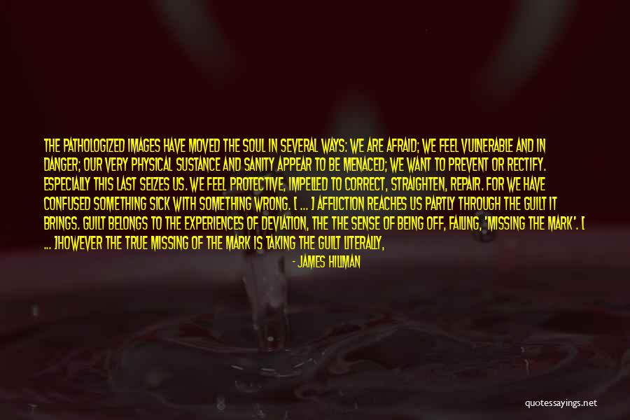 James Hillman Quotes 85343 James Hillman Quotes 85343