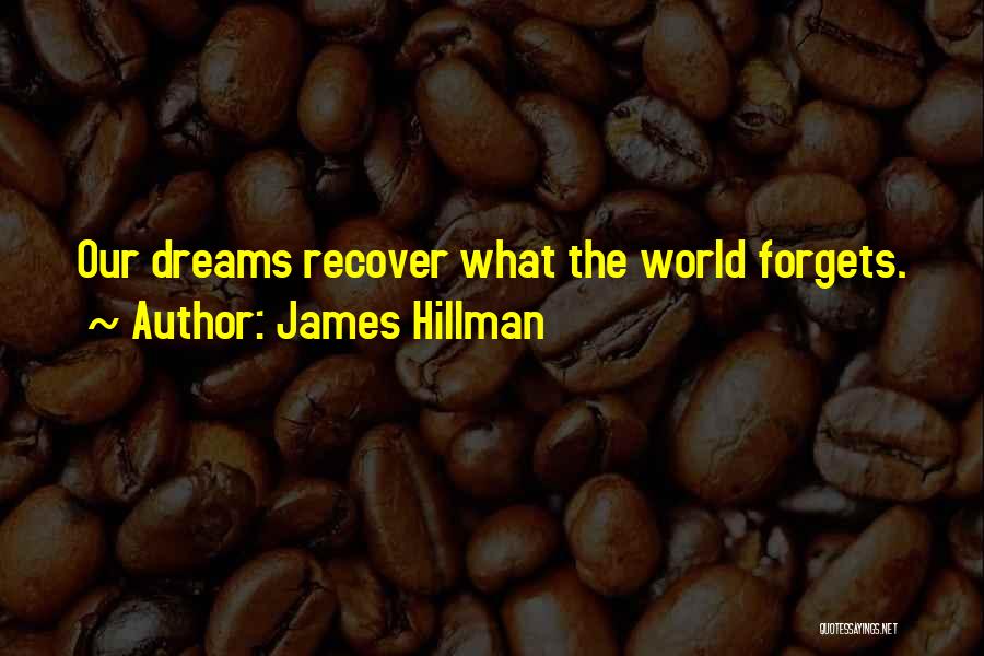 James Hillman Quotes 922701