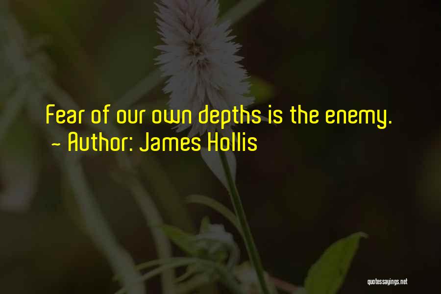 James Hollis Quotes 1324181