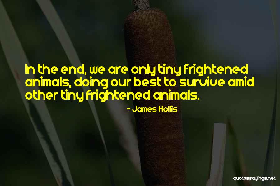 James Hollis Quotes 1551827