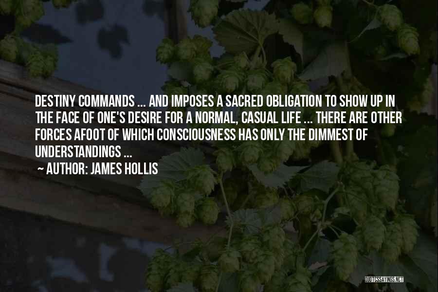 James Hollis Quotes 1557700
