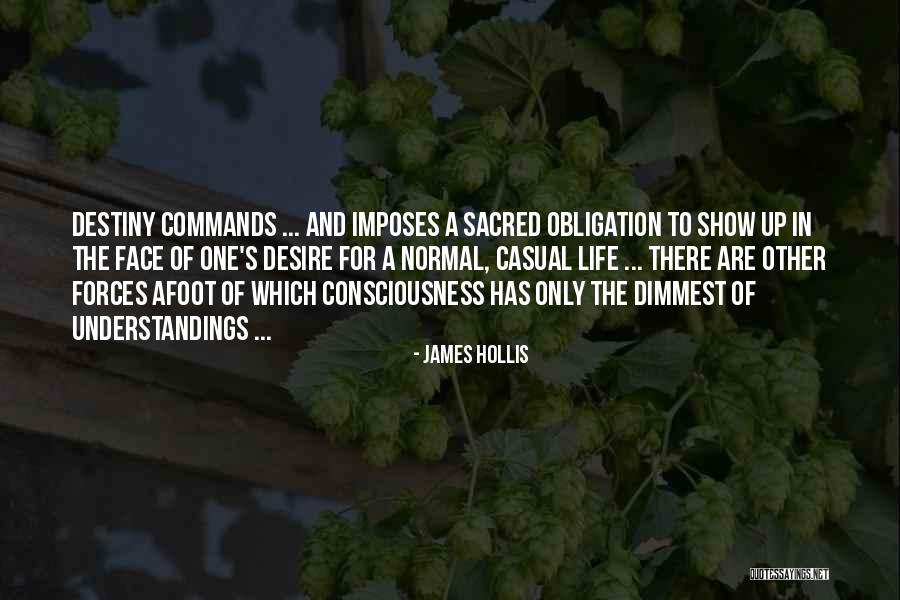 James Hollis Quotes 1557700