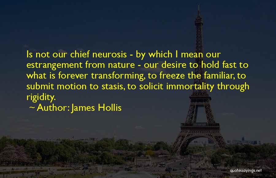 James Hollis Quotes 1627039