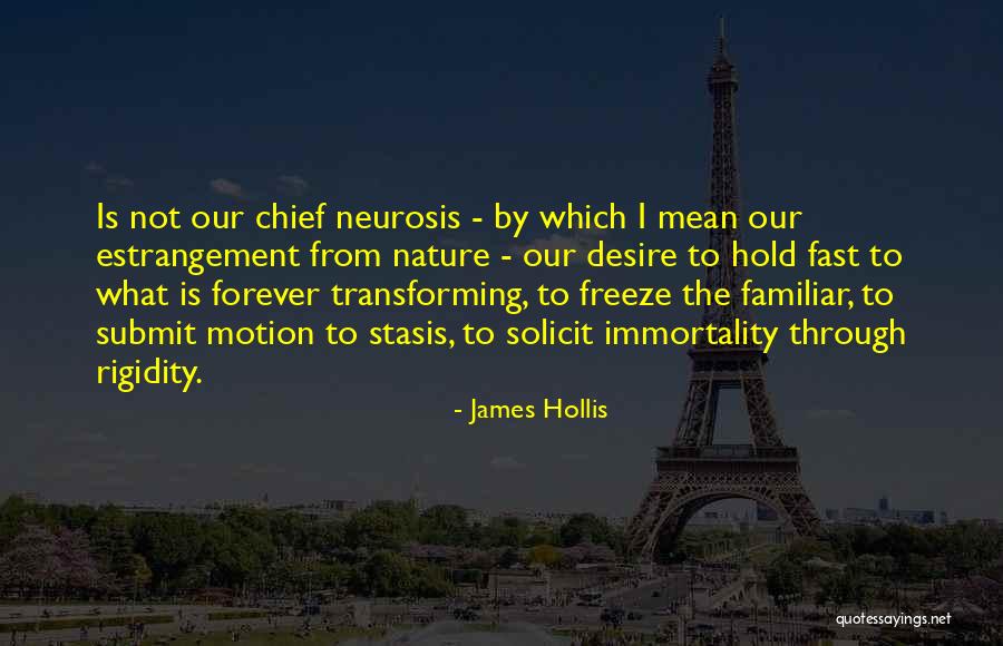 James Hollis Quotes 1627039