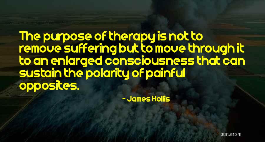 James Hollis Quotes 1673407