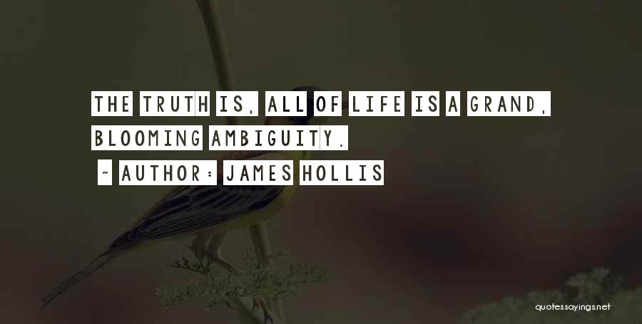 James Hollis Quotes 1718624
