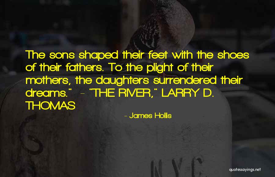 James Hollis Quotes 1756987