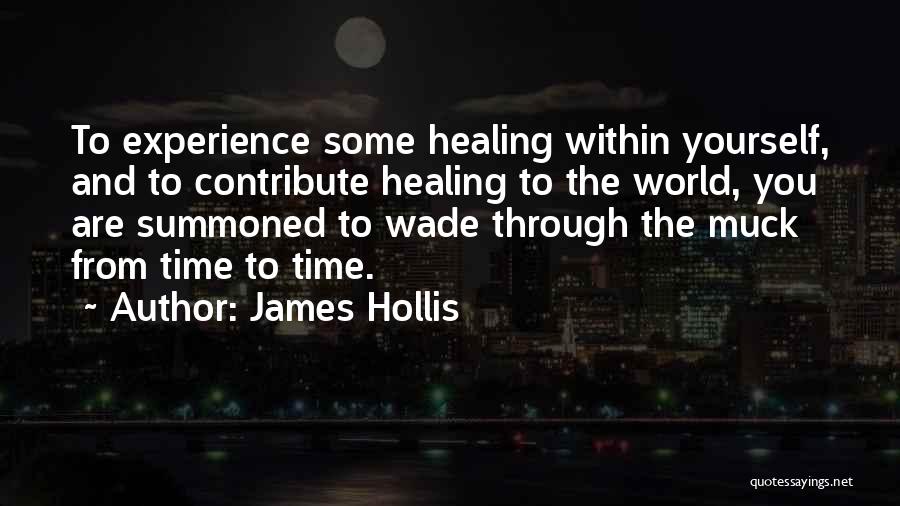 James Hollis Quotes 1796132